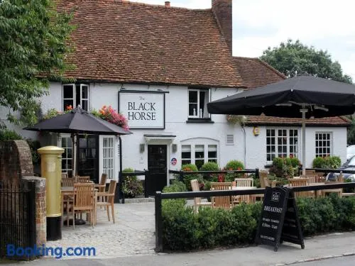 The Black Horse Fulmer - Image 1