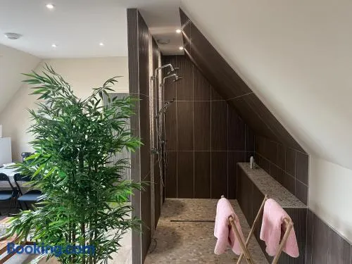 chambre Mont Fleuri - Image 1