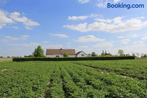B&B De Luyckhoek - Image 1