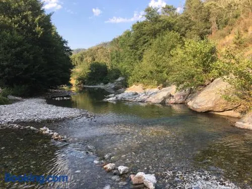 Les soliéges de la cascade - parc des cévennes - Image 1