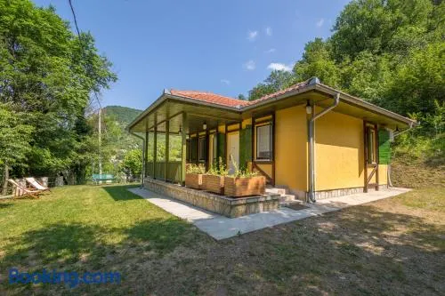 Vila Camelia - Image 1