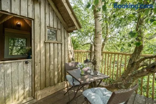 The Treehouse at Salcombe Farm - Image 1