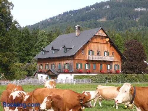 Die Traunmühle - Image 1