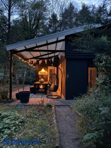 Dromen op 1 - Stijlvol boshuis op de Veluwe met veranda en grote omheinde tuin! - Image 1