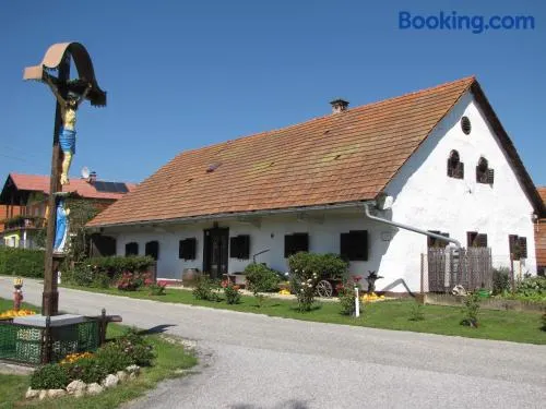 Homestay Kapl - Image 1