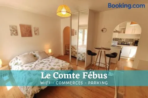Le Comte Fébus - Focalimmo - Image 1