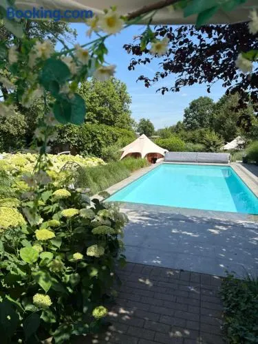 Vakantievilla De Witte Merel voor groepen met zwembad & wellness - Image 1