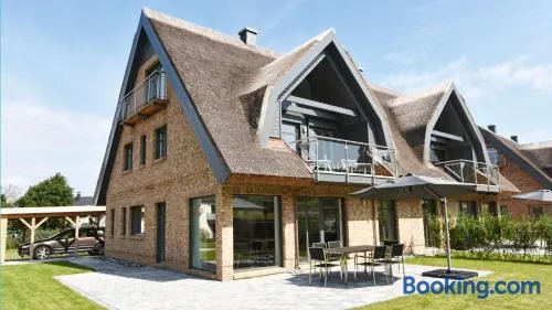 Exklusive Reetdach-Villa Ostseefrische - Image 1