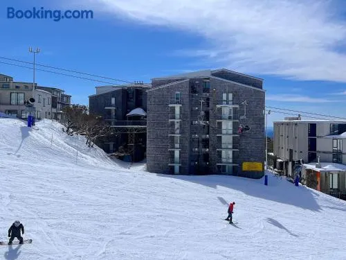 Twin Towers 401A AMS Mt Buller - Image 1