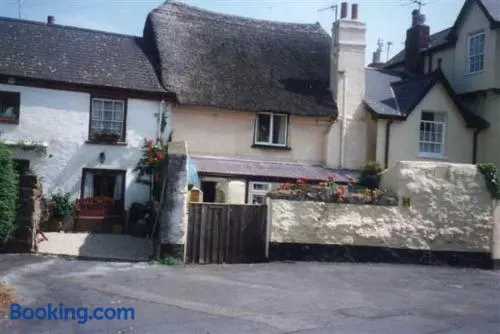 Dolphin Cottage 50m from Shaldon Beach! - Image 1