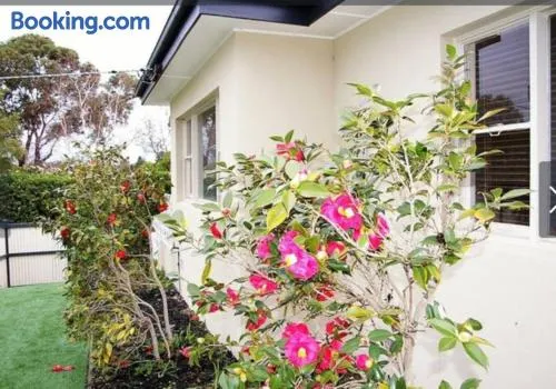 Elegant Balwyn Retreat - Spacious Family Home in Melbourne's Leafy East - Image 1