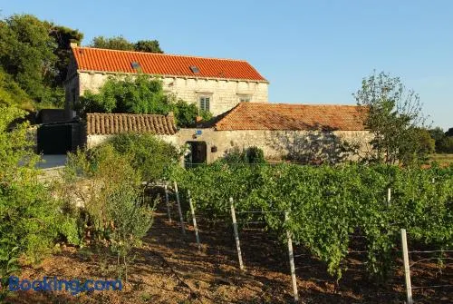 Villa Violić - Image 1