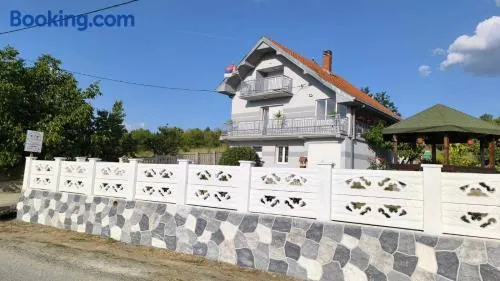 Domaćinsvo Stević - Sekurič - Image 1