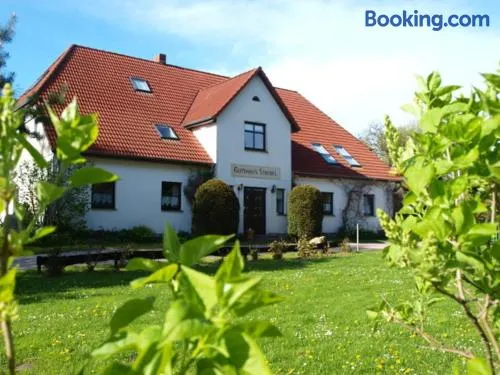 Familienfreundlicher Landurlaub im Gutshaus - Image 1
