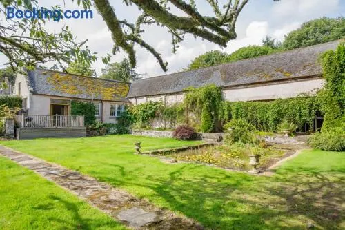 Little Fyrish - Image 1