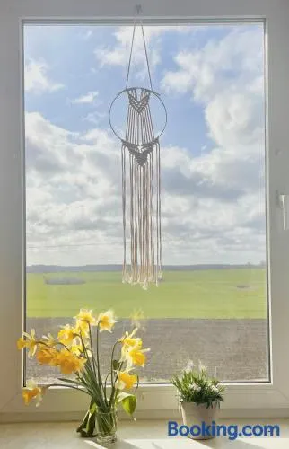 Ab ins Grüne - Ferienwohnungen in Zettemin - Image 1