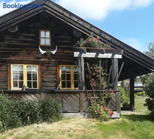 Fredelig plass for rekreasjon - Image 1