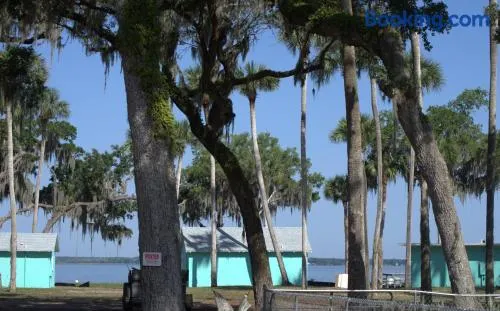 The Bungalows on Lake Griffin - Image 1