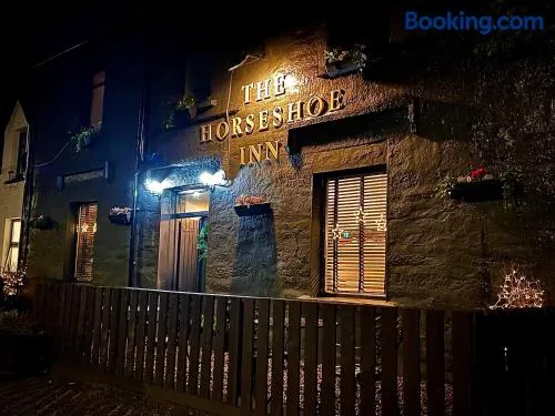The Horseshoe - Image 1