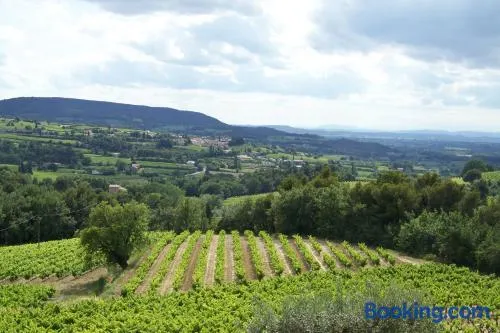 Gîte en provence au coeur des vignes - Image 1