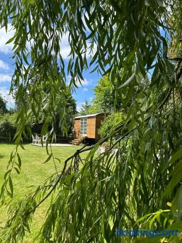 The little shepherds hut - Image 1