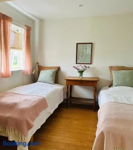 Camønogaarden B&B, darksky cabins and events - Image 1