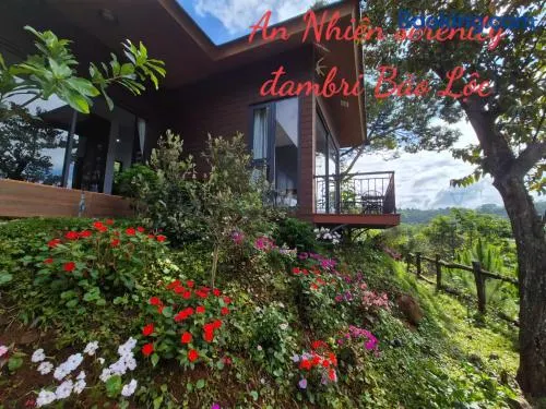 An Nhien Serenity - Image 1