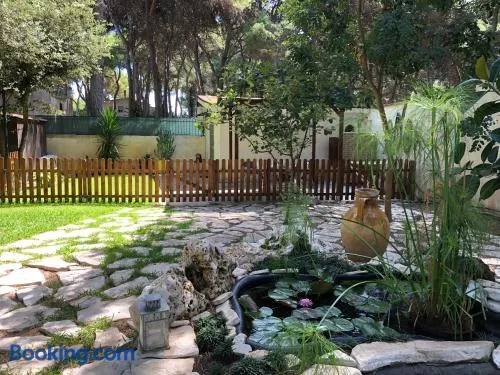 Bungalow Fatamorgana - Image 1