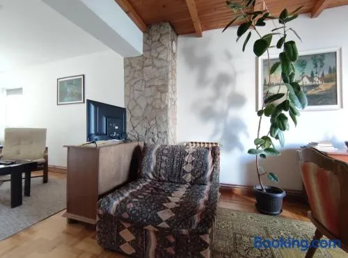 Nikolic Apartment - Image 1