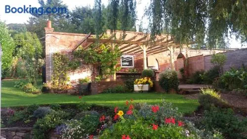 The Garden Studio Woodcombe - Image 1
