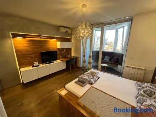 Hedonic Studio - Image 1