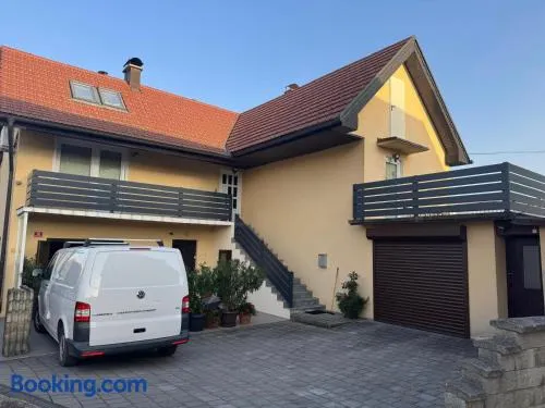 Apartment Sawetz - Ptuj - Image 1