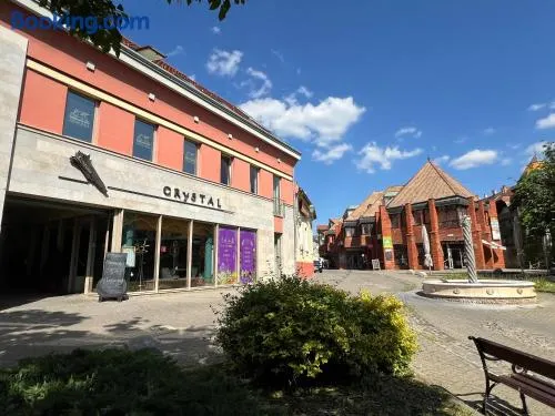 CENTRUM APARTMAN - Citrom utca - Image 1