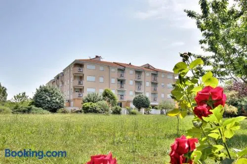 Apartment Branka - Monterol - Image 1