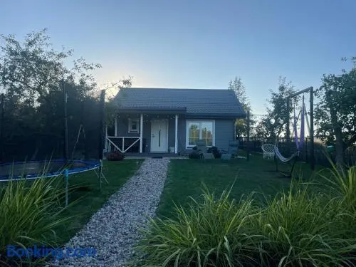 Cozy holiday house with sauna and entertainment - Image 1