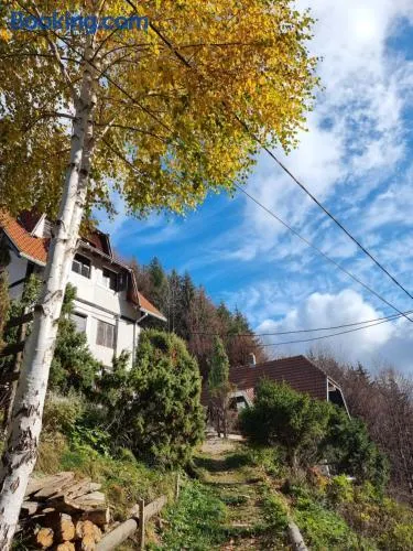 APARTMAN NA STAZI - Bela Reka, Kopaonik - Image 1