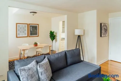 1BR Modern Apt in the Heart of the City - Marshfield G - Image 1