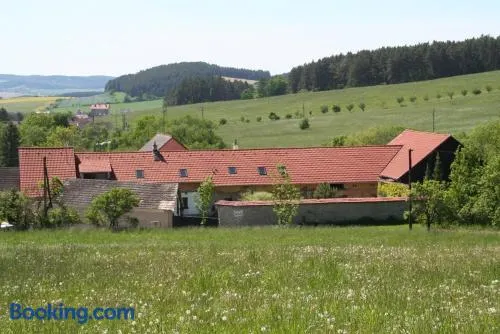 Podkroví v Jihočeském Statku - Image 1