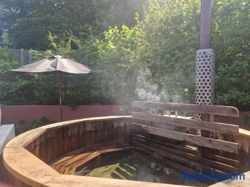 Seren with Wood Fired Hot Tub - Image 1