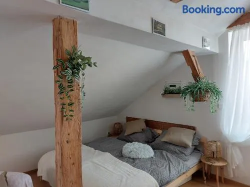Apartmán Mourek - Image 1