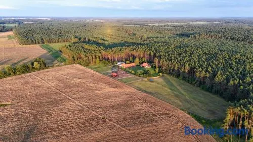 Nocleg na skraju puszczy - Image 1