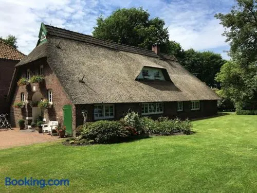 Idyllische Ferienwohnung in Wiefelstede - Image 1