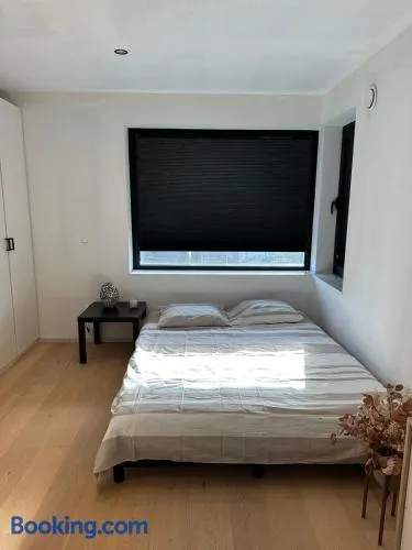 Kamer in hartje van de Vlaamse Ardennen - Image 1
