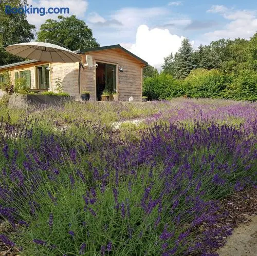 Chalet "Waldhauszeit" am See - Image 1