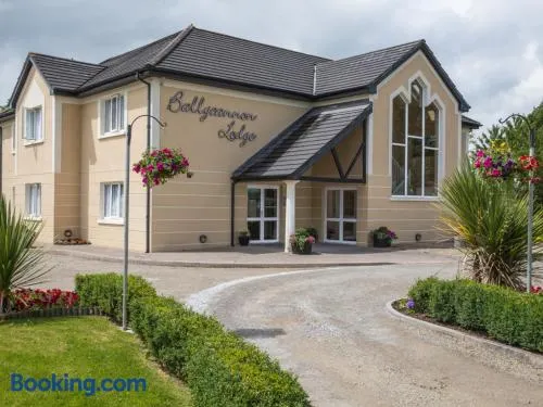 Ballycannon Lodge - Image 1