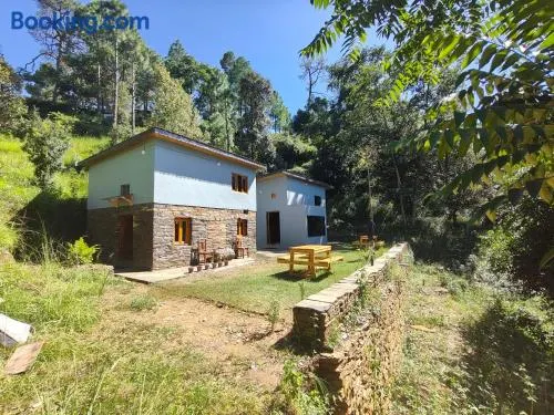 Astitva Binsar - Image 1