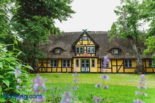 Herrenhaus Gut Dorotheenthal - Image 1