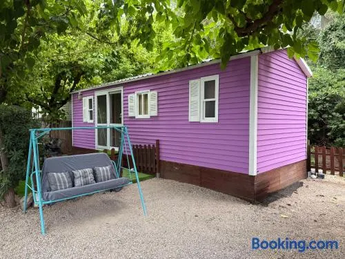 Lila House - Image 1