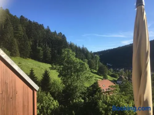 Zum Schwalbennest - Image 1