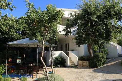 Apartments Silva - Image 1